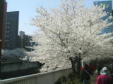 030406 011.jpg